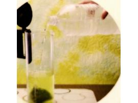 「水出し茶」の作り方
