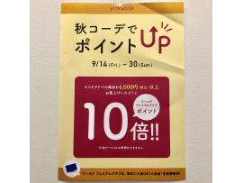☆ピンクアドベ 秋コーデでポイントUP ☆