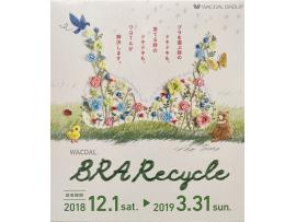 ☆ブラ・リサイクルバッグ配布☆