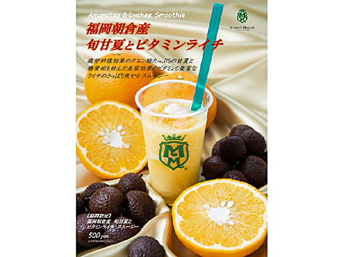 初夏のおすすめ特集