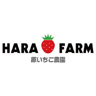 【NEW】原いちご農園