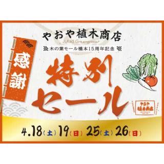 やおや植木商店　特別セール【4月18日(土)・19日(日)】
