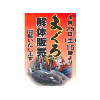とと市場「マグロ解体ショー」開催のお知らせ