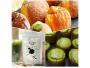 Hilo Hawaiian Donut × ITSUTSU MATCHA