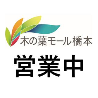 【木の葉モール橋本　外壁工事実施のご案内】