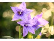 ～営業時間短縮のお知らせ～