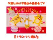 今年最後のおひるねアート撮影会開催！予約受付中！