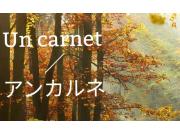～un carnet/アンカルネ～ペイズリー柄ブラウス♩