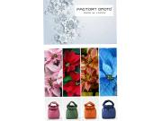 ～OMOTO/オモト～ STRING MINI♩