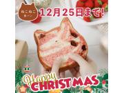 【まもなく販売終了】ねこねこ食パン ハッピークリスマス