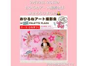 【２月★おひるねアート撮影会中止のお知らせ】