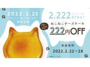 【1年に1度の”ねこの日”記念】とってもオトクなセール中！