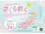 さくら咲く開花キャンペーン♪