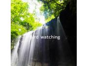 ～Bird watching～ レインブーツ♩