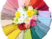 ディオニス（プリーツバッグ）