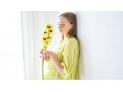 【あおやま　SPRINGコレクション】