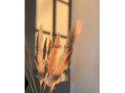 ドーリーラッシュ♪キャンセルポリシーについて☆