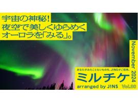 宇宙の神秘！夜空で美しくゆらめくオーロラを「みる」