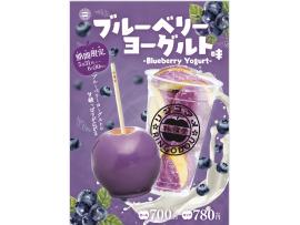 新発売!!ブルーベリーヨーグルト味