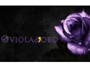 ～パパスアンドママス～ VIOLAd’ORO /ヴィオラドーロ new♪︎