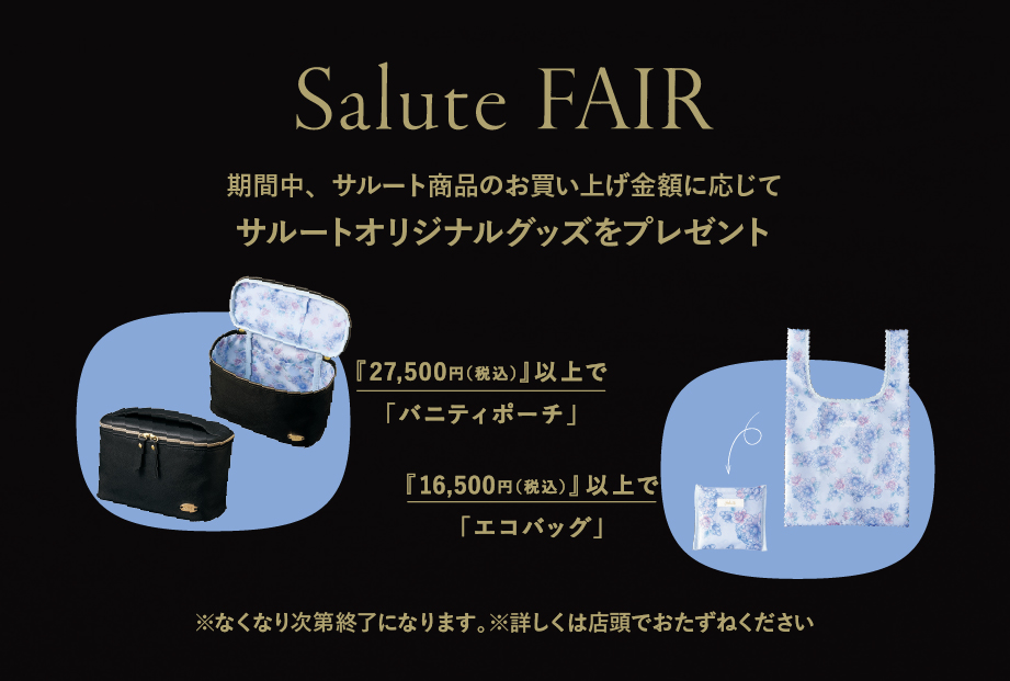  SALUTE 23年 新品 ワコール サルート 23グループ 23G フロントエックスプラス