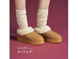 ★この冬注目！新作BOAシリーズご紹介★