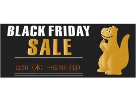 ✴︎BLACK FRIDAY 開催✴︎