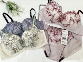 ☆新色入荷‼︎ AMPHI BRAGENIC〜脇高細見えtype☆