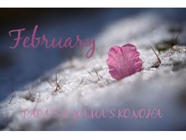 〜パパス＆ママス〜2月の店休日と営業時間のお知らせ♪