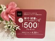 ☆フィッティングキャンペーン実施中☆