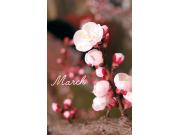 〜パパス＆ママス〜3月の時間営業のお知らせ♪