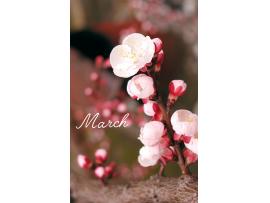 〜パパス＆ママス〜3月の時間営業のお知らせ♪