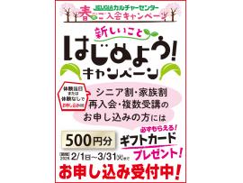 春のご入会キャンペーン