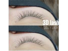 ドーリーラッシュ♪　３Dラッシュ☆