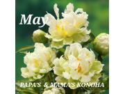 〜パパス＆ママス〜5月営業時間のお知らせ♪