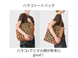 〜パパス＆ママス〜MILLELA FIRENZE POP UP 好評開催中♪