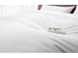 羽毛掛ふとん 期間限定15%OFF