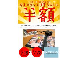 プリント半額セール実施中!