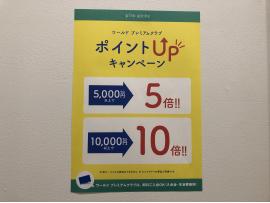 WPCポイントアップキャンペーン!
