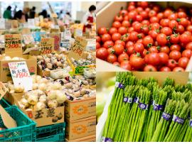 やおや植木商店 木の葉モール橋本店8周年誕生祭開催!