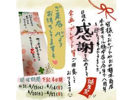 木の葉モール橋本×やおや植木商店『誕生祭』