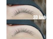 3DLASH
