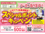 制度化粧品　スペシャルポイントキャンペーン