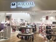 ☆ーWACOAL The Storeー☆