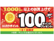 ☆★1000円以上お買い上げでココカラポイント100Pプレゼント★☆