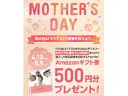母の日のプレゼントに『すぐアル』はいかが？当日お持ち帰り可能！