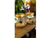 ☆お子様に大人気☆