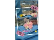 NEWカラーの入荷です☆