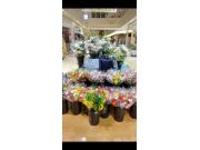 【お盆催事のお知らせ】