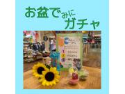 夏のイベント開催します！